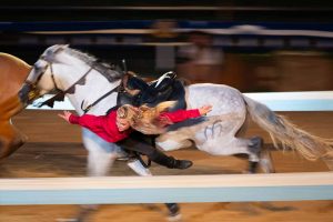 Kaltenberger Ritterturnier Arena Show