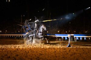 Kaltenberger Ritterturnier Arena Show