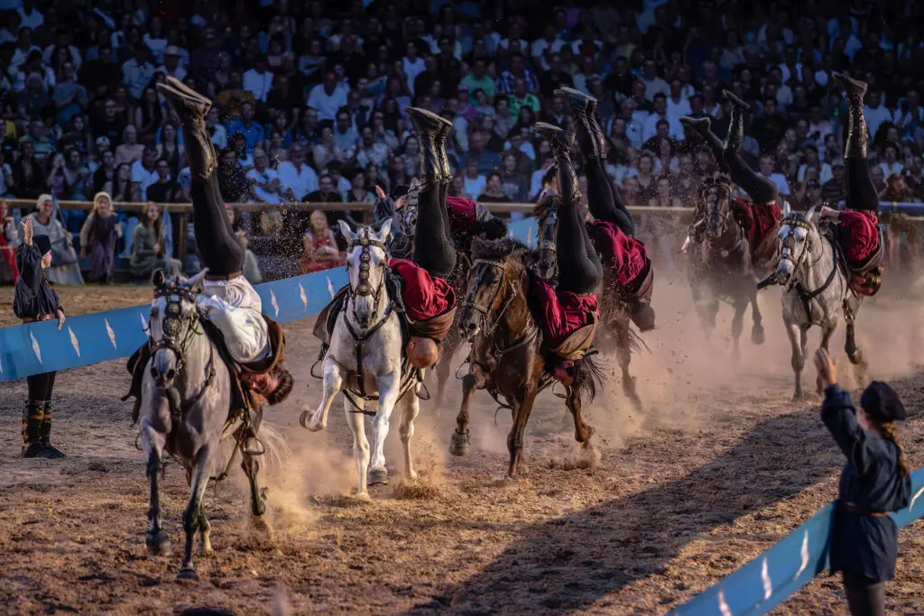 Ritterturnier Arena Show