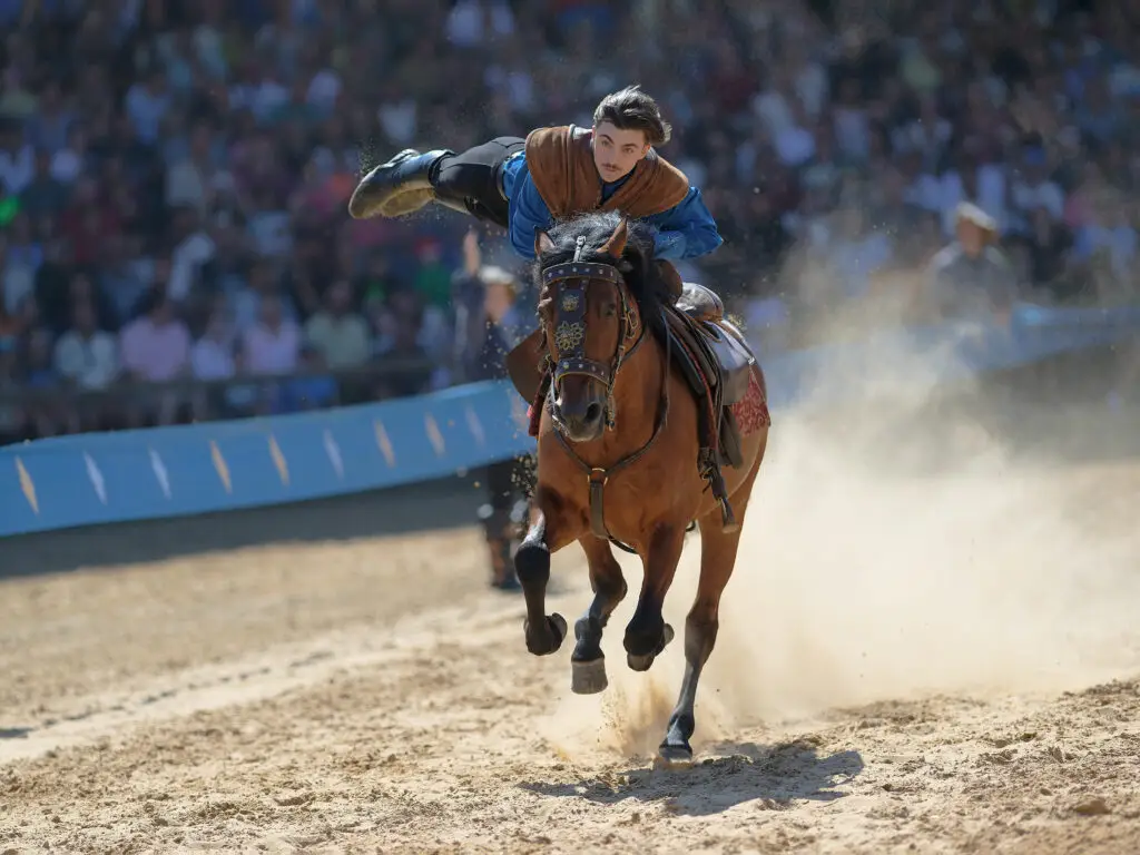 Ritterturnier Arena Show